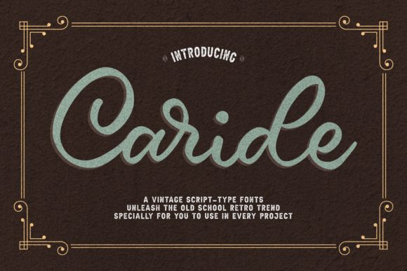 Caride Font: Elegant Script for Small Business Branding