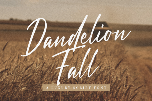 Dandelion Fall Font Review for Digital Campaign Design